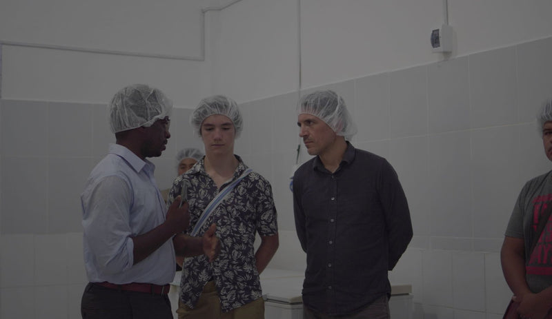 Authenticity & Transparency